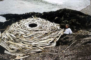 Land-art Andy Goldsworthy